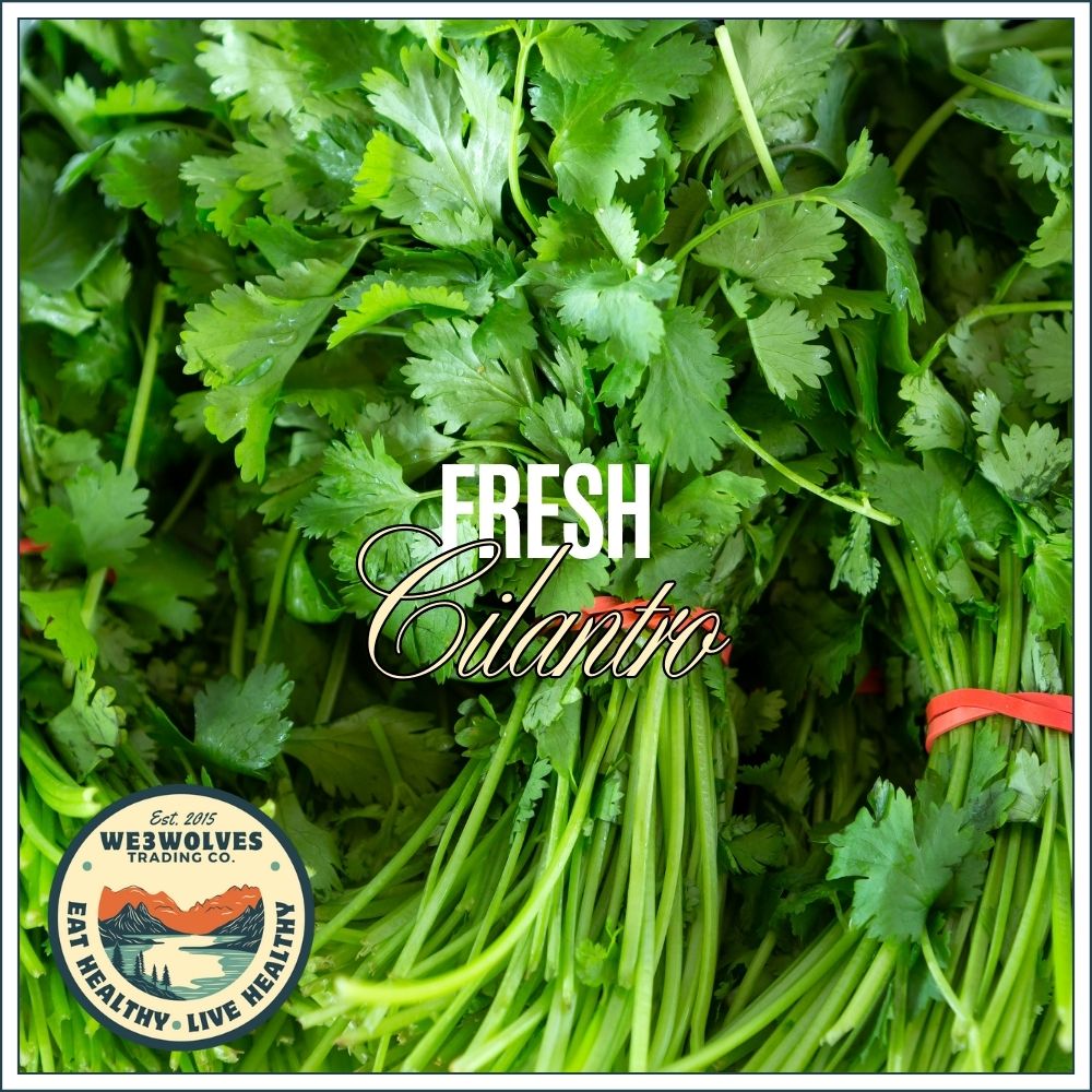 Cilantro Bunch