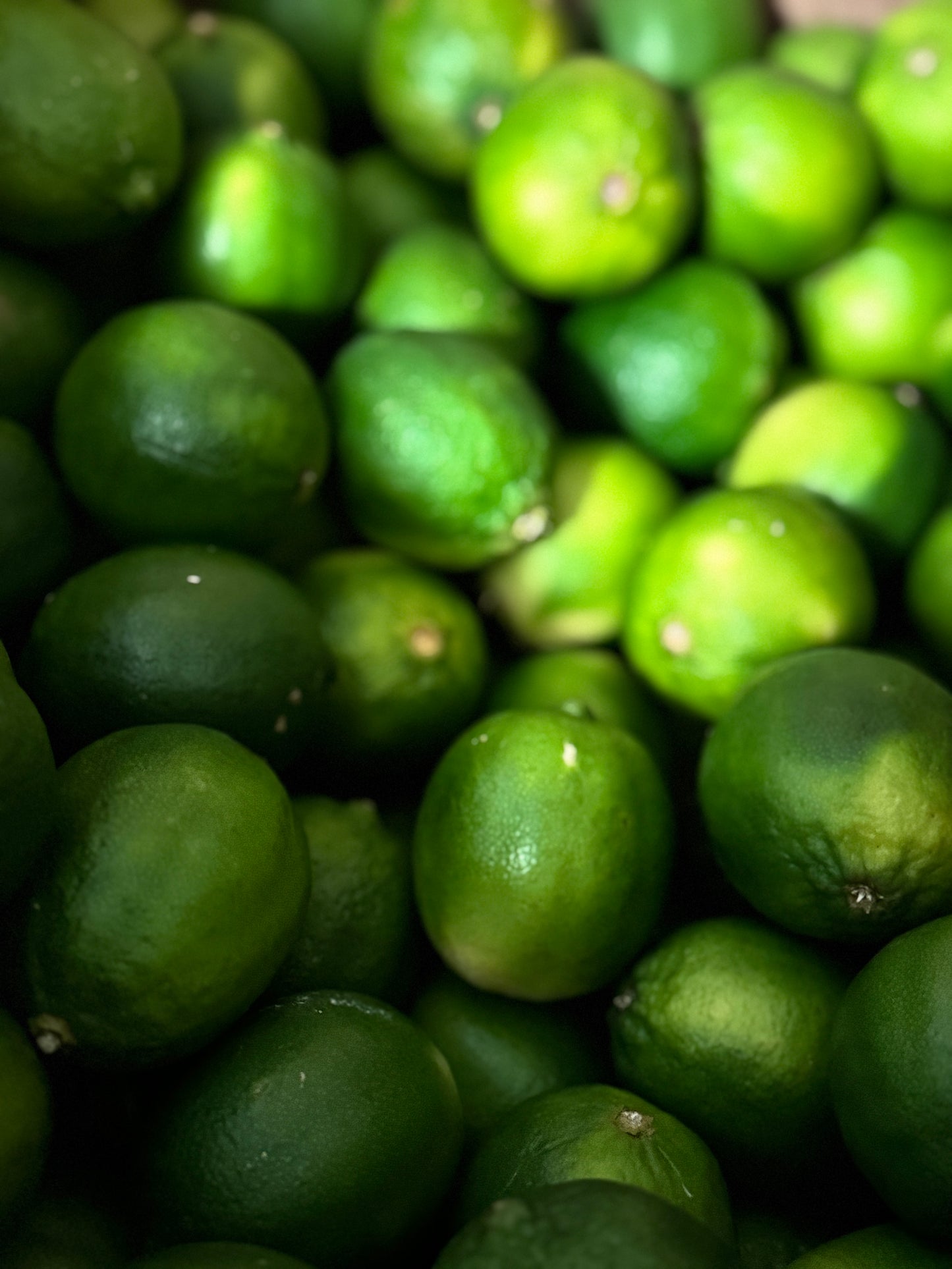 Lemons & Limes Combo Pack - Water Alkaline