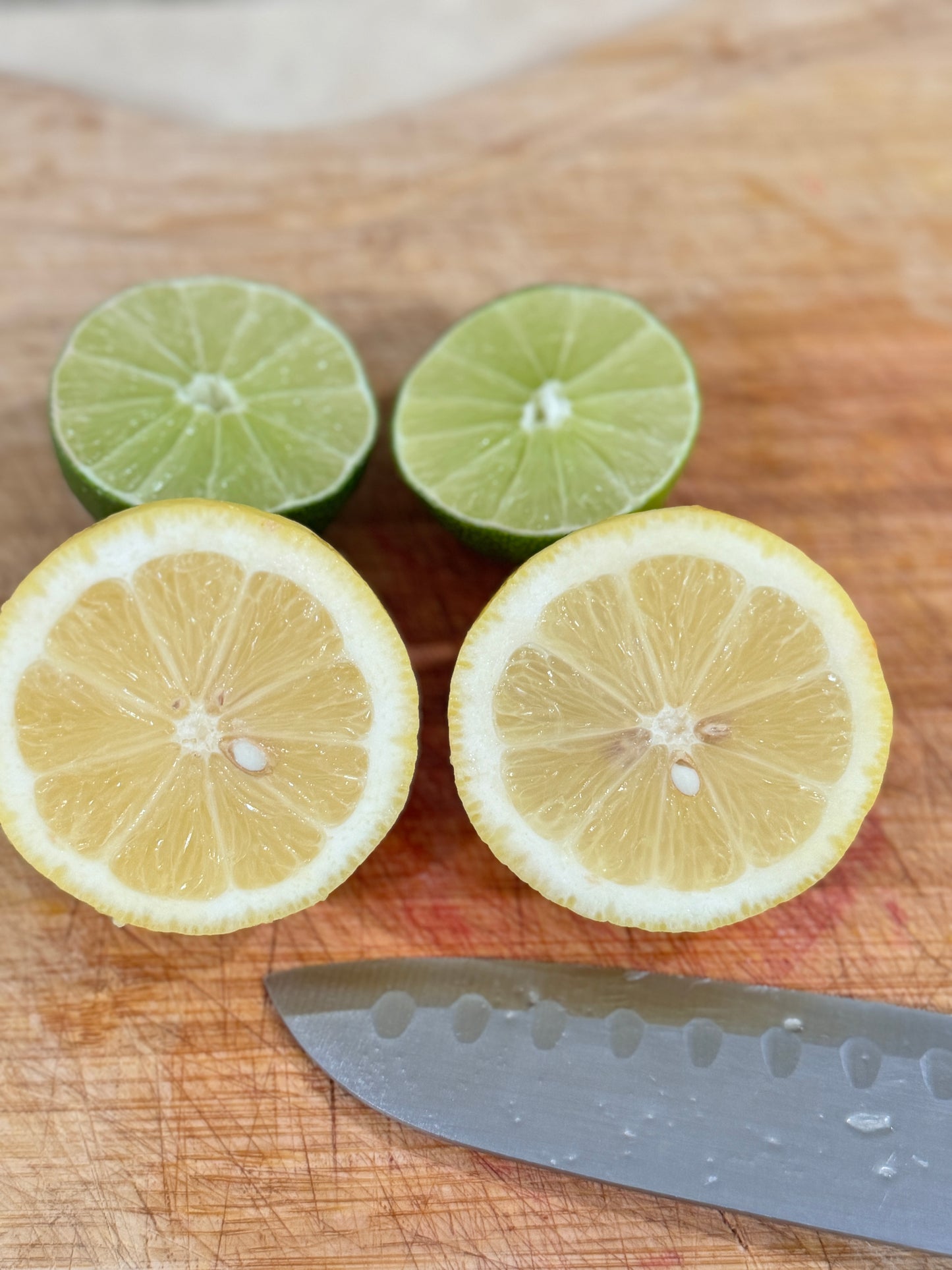 Lemons & Limes Combo Pack - Water Alkaline
