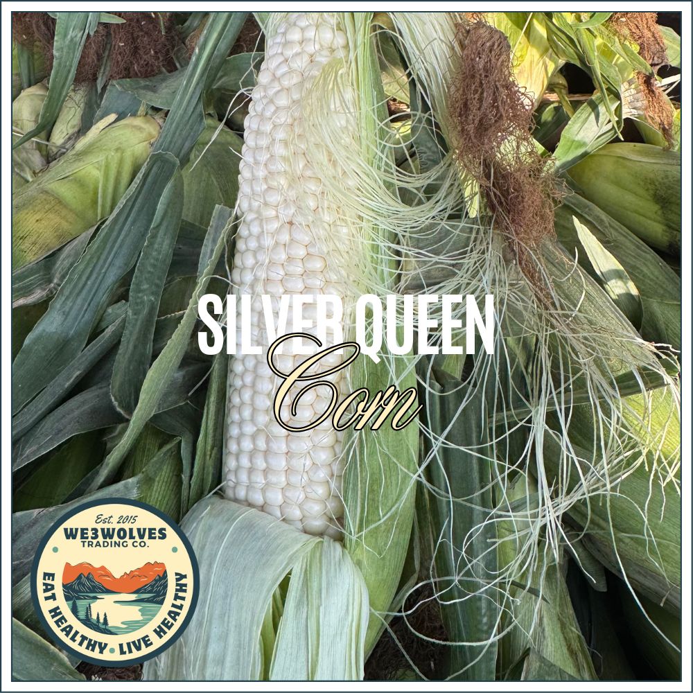 Silver Queen Corn