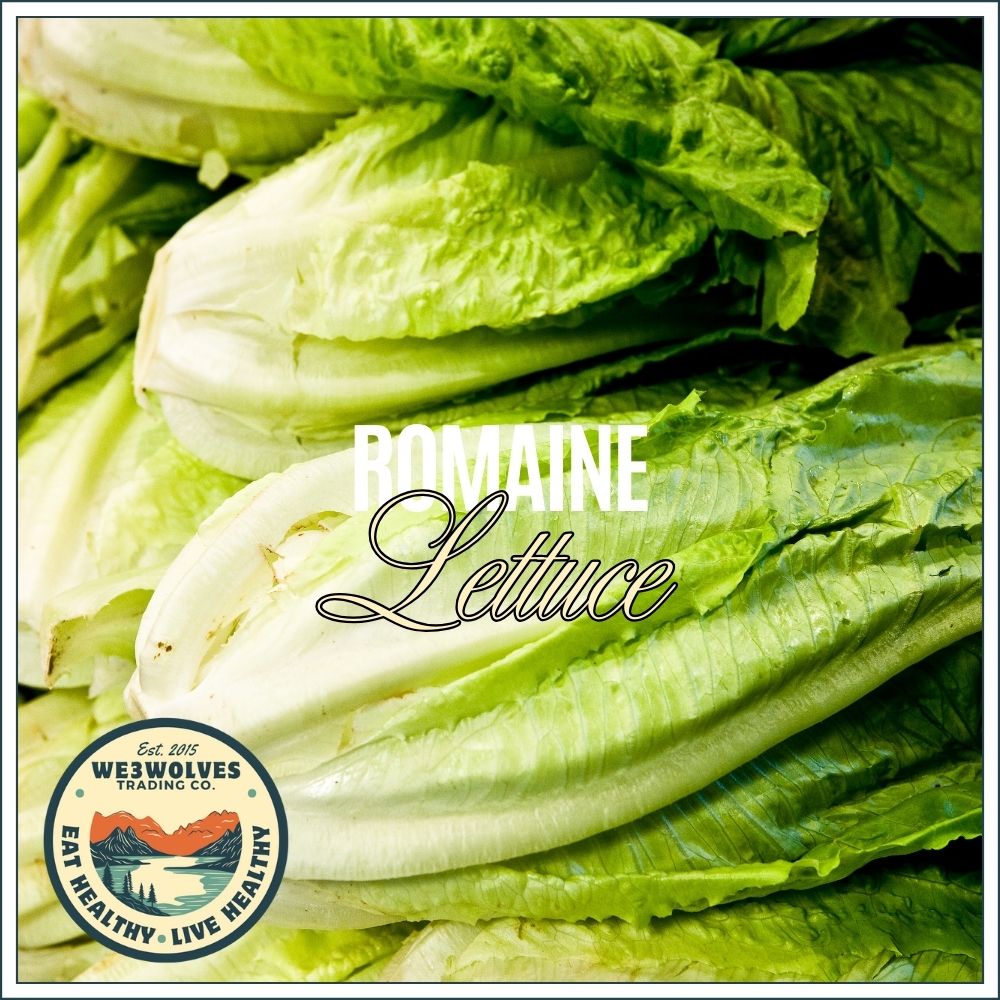 Romaine Lettuce Organic Large