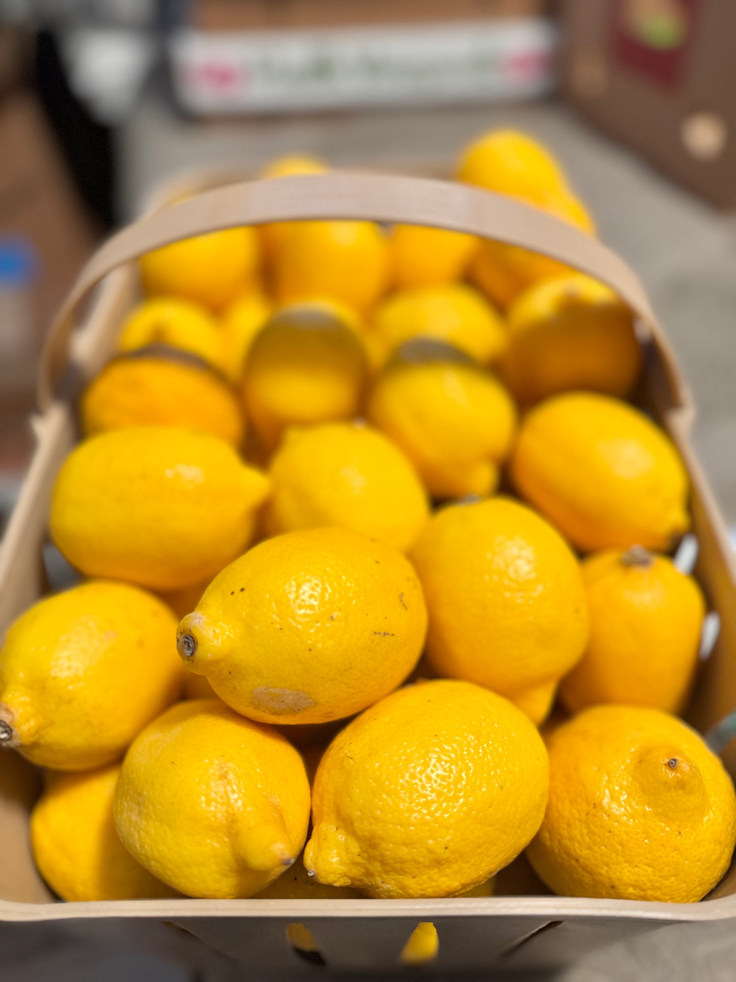 Lemons & Limes Combo Pack - Water Alkaline