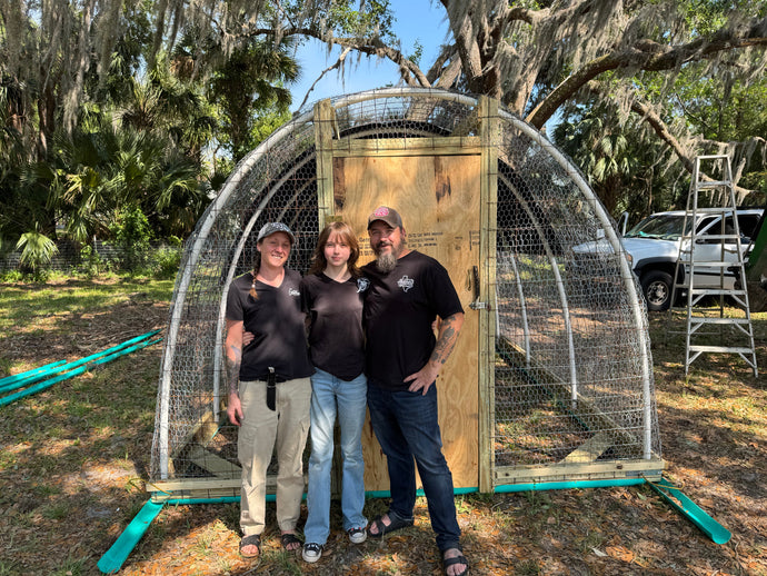 Building a Chicken Tractor: An Essential for Regenerative Farming & Happy Chickens