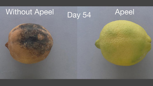 The Difference Between Sprayed Conventional Produce and Natural Unsprayed Foods: Ripening, Mold, and Appeal