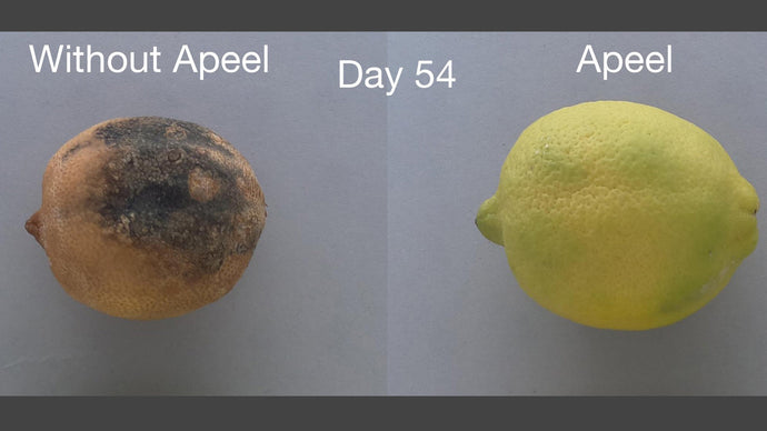 The Difference Between Sprayed Conventional Produce and Natural Unsprayed Foods: Ripening, Mold, and Appeal