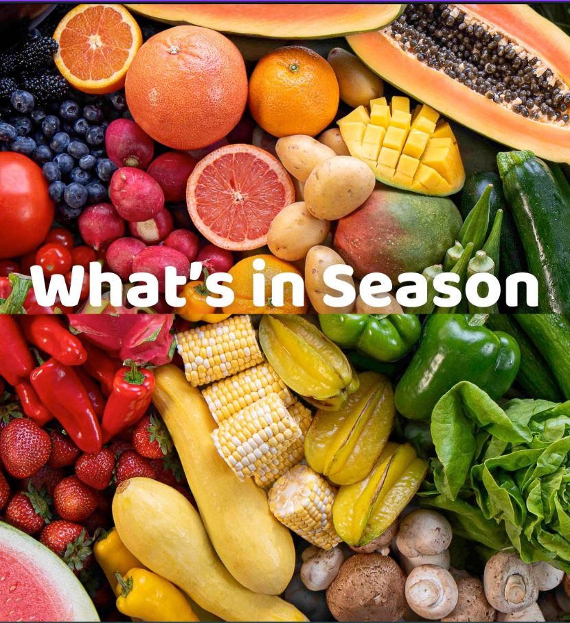 🌴 Florida in April: Bursting with Fresh Flavor and the Power of Buying Local 🍓🍑🍉