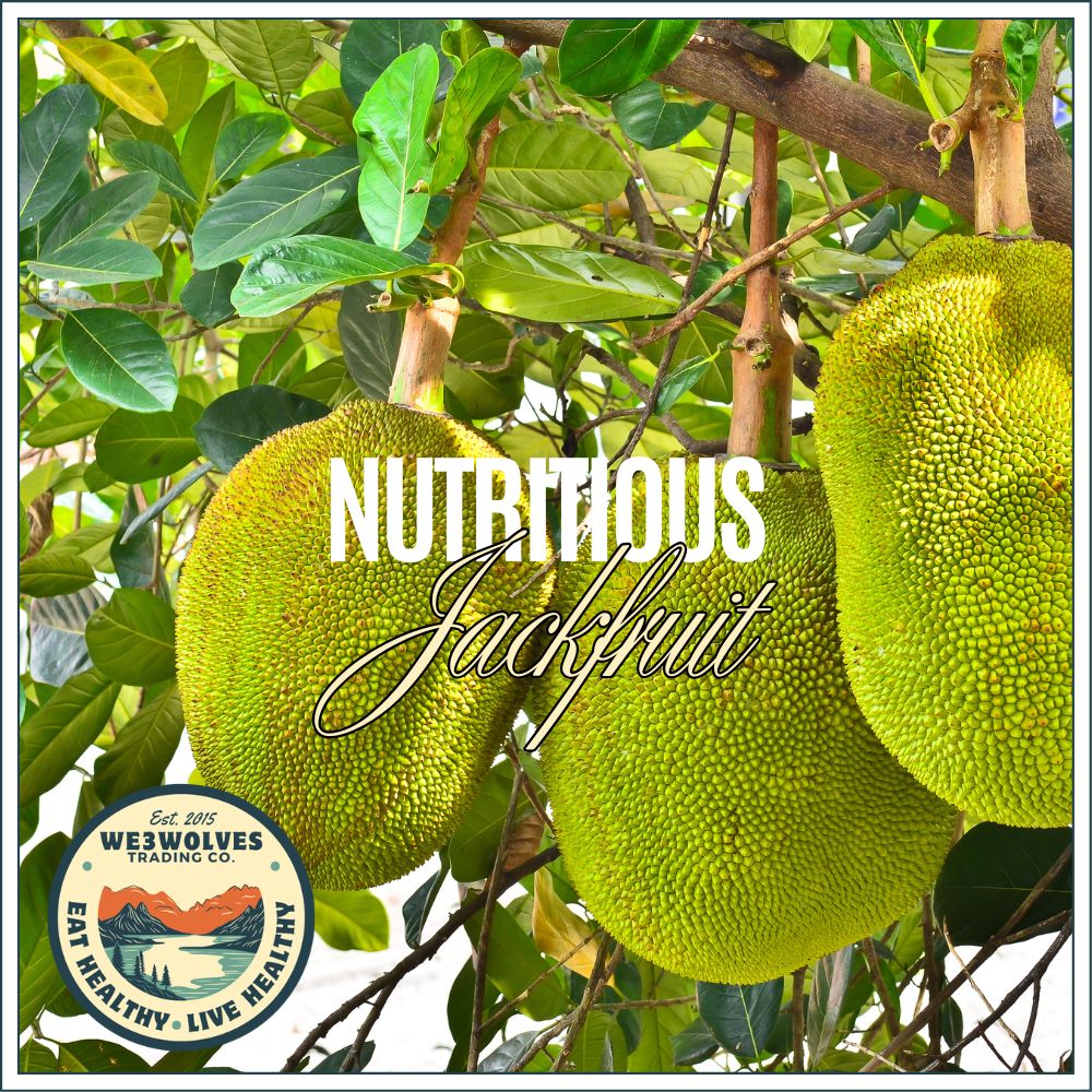 The Jackfruit: Nature’s Giant Gift to Plant-Based Living