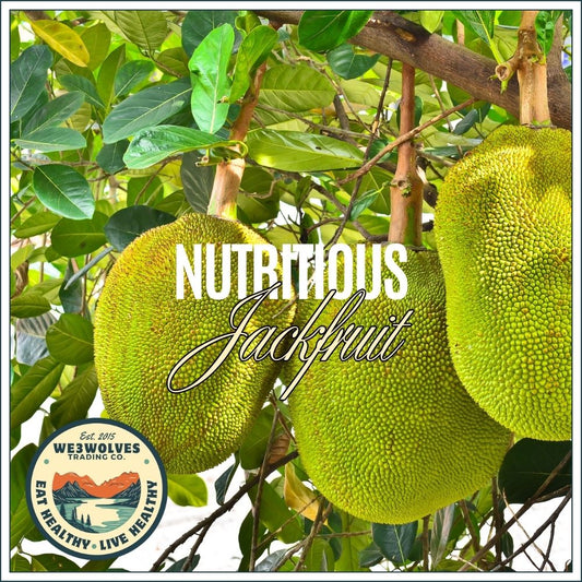 Jackfruit  (Artocarpus heterophyllus) - AVAILABLE