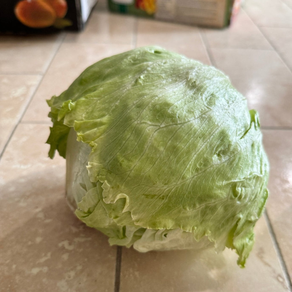 #fresh_food# - #we3wolves#