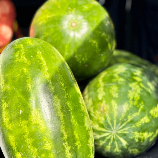 #fresh_food# - #we3wolves#
