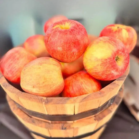 Apples (Honey Crisp) - $1.50 each We3Wolves Trading Co