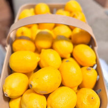Load image into Gallery viewer, #fresh_food# - #we3wolves#