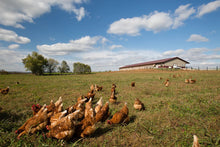 Load image into Gallery viewer, #fresh_food# - #we3wolves#