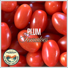 Load image into Gallery viewer, Tomatoes Plum Roma