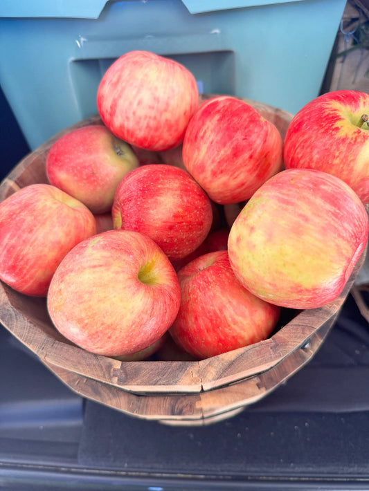 Apples (Gala) - $1.50 each We3Wolves Trading Co