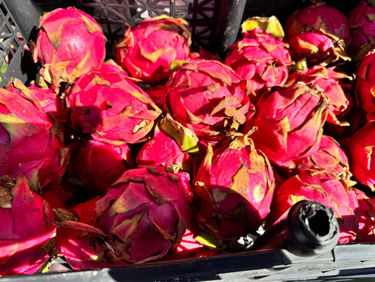 Red Dragon Fruit - $5 each We3Wolves Trading Co