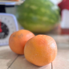 Load image into Gallery viewer, #fresh_food# - #we3wolves#