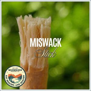 Miswack (Siwak) Stick - Nature's Toothbursh