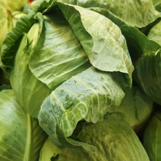 #fresh_food# - #we3wolves#