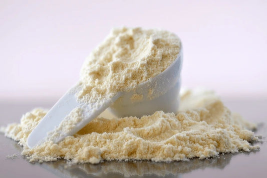 Colostrum Powder